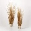 Potted Gold Grass Stem (2 Sizes) 2 Potted Gold Grass Stem (2 Sizes) -Home Essentials Shop 19692pot new