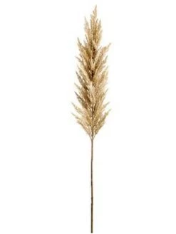 Extra Long Beige Pampas Grass Stem (2 Colors} -Home Essentials Shop Capture 4742e342 eb9c 4c9d 97fb 387e61c7730c new