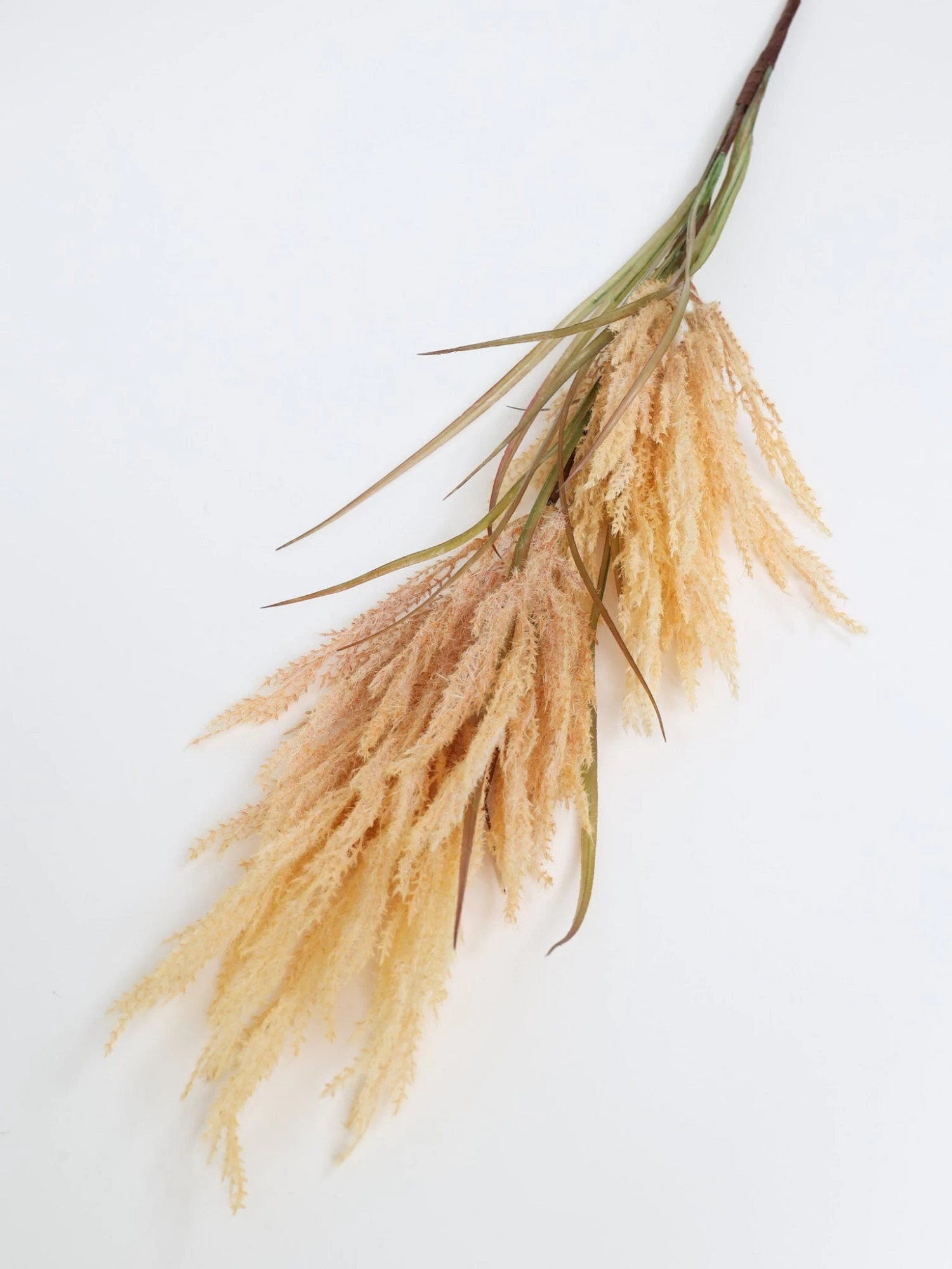 48" Champagne Beige Pampas Grass Stem 4 48" Champagne Beige Pampas Grass Stem - Image 2