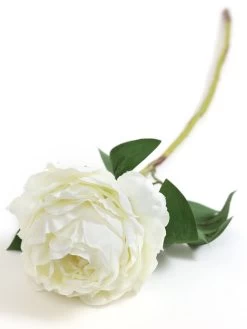 27" Peony Stem (2 Colors) -Home Essentials Shop DD5A8509 Edit new