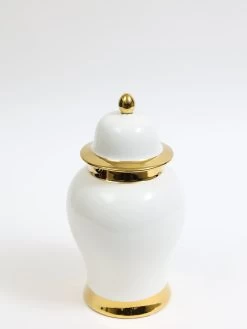 Two-Tone Ginger Jar (2 Colors, 2 Sizes) -Home Essentials Shop DD5A8541