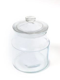 Round Airtight Glass Canister (2 Sizes) -Home Essentials Shop DD5A9804 Edit new