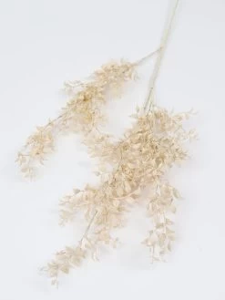 35" Cream Smilax Stem -Home Essentials Shop IMG 0034 new