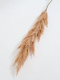 46" Pampas Stem (2 Colors) -Home Essentials Shop IMG 0086 469871fb 5a5d 4db8 8448 bbb0121f00da new