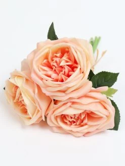 11.5" Peach Real Touch Garden Rose Bundle -Home Essentials Shop IMG 0237 new