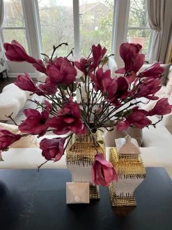 36" Fuchsia Magnolia Stem