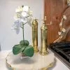 11" White Orchid In Glass Vase -Home Essentials Shop IMG 2268 new