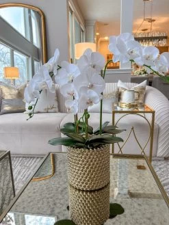 White Orchid In Gold Detailed Pot -Home Essentials Shop IMG 2630 new