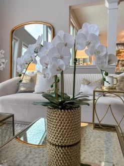 White Orchid In Gold Detailed Pot