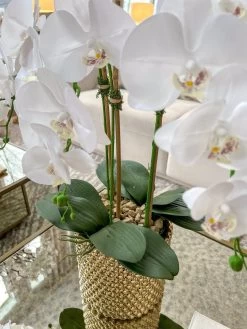 White Orchid In Gold Detailed Pot -Home Essentials Shop IMG 2660 new