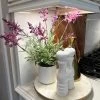 Lavender In White Vase 1 Lavender In White Vase -Home Essentials Shop IMG 2716 new