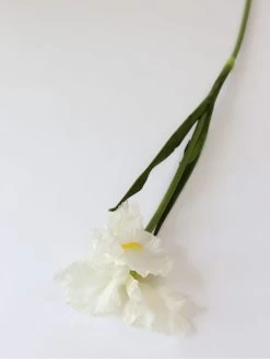 Real Touch White Iris Stem -Home Essentials Shop IMG 3570 new