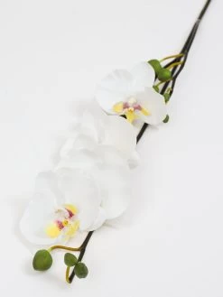 Real Touch Orchid Stem