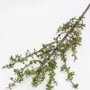 36" Leaf Branch -Home Essentials Shop IMG 6051 1 new