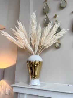46" Pampas Stem (2 Colors) -Home Essentials Shop IMG 8075 new