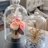 Glass Cloche (2 Sizes) -Home Essentials Shop IMG 84301 new
