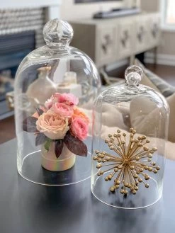 Glass Cloche (2 Sizes)