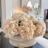14.5" Beige Hydrangea Bundle