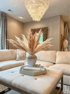 46" Pampas Stem (2 Colors) -Home Essentials Shop IMG 8985 new