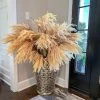 48" Champagne Beige Pampas Grass Stem -Home Essentials Shop IMG 9414 new