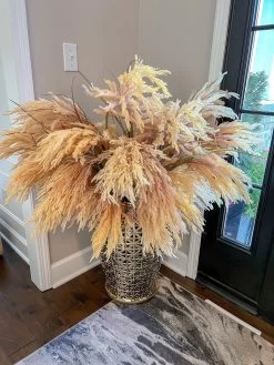 48" Champagne Beige Pampas Grass Stem 7 48" Champagne Beige Pampas Grass Stem -Home Essentials Shop IMG 9415 new