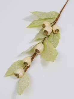 Cream Glitter Pod W/Light Green Glitter Leaf Stem