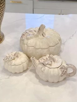 Dolomite Pumpkin Collection ( 3 Sizes And Shapes Available ) -Home Essentials Shop image 0ccc0e2d c6bd 4b4a 8aa5 d0b6d565f78b new 1