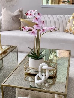 Set Of 2 Gold Mirrored Trays -Home Essentials Shop image 38ad8c46 783d 490b ba62 8218e9274596 new 1