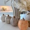 Sculpted Pumpkin Container (4 Colors) -Home Essentials Shop image 3c87eb5b f865 493c 9826 b85f20fd3cfb new