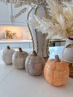 Sculpted Pumpkin Container (4 Colors) -Home Essentials Shop image 4693addd ba9c 41ee b3ee 736d0b32dbe4 new