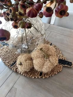 Beige Fringe Pumpkin (3 Sizes) 12 Beige Fringe Pumpkin (3 Sizes) -Home Essentials Shop image 57af8d68 1fb8 4d4e bbcd f1f750e06037 new
