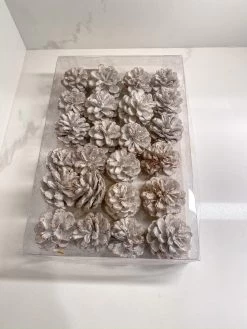 White Decorative Pine Cones Box -Home Essentials Shop image 58130fb8 41dd 478a 9b4e 5b6ca7f65096 new