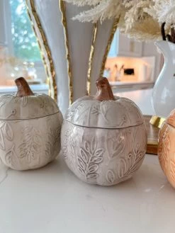 Sculpted Pumpkin Container (4 Colors) -Home Essentials Shop image 61c3feb8 83b1 4fd6 bcff 36aa0d9446d7 new