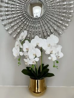 White Faux Orchid In Shiny Gold Pot "From Pops Of Color Home Collection" -Home Essentials Shop image 709185f0 8835 45da b715 b73fe7ac37bf new