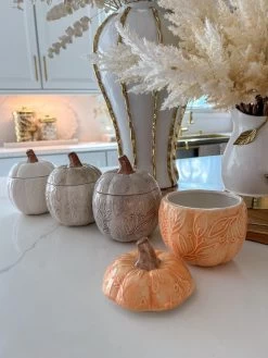Sculpted Pumpkin Container (4 Colors) -Home Essentials Shop image 727b7443 2213 453f ade4 6c7232eb1571 new