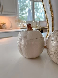 Sculpted Pumpkin Container (4 Colors) -Home Essentials Shop image 76c582e0 cf78 4d3e 8aef e5619aae5bbe new