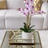 Set Of 2 Gold Mirrored Trays -Home Essentials Shop image 79970e05 e842 47f6 b037 542a5e70258b new 1