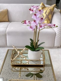 Set Of 2 Gold Mirrored Trays