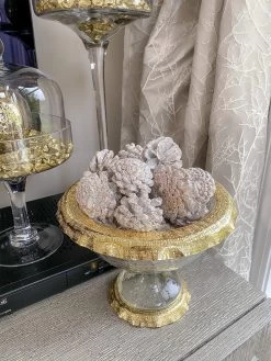 White Decorative Pine Cones Box