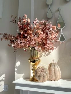 36" Burgundy Two-Tone Eucalyptus Stem -Home Essentials Shop image 93186ffe 25b3 4b53 8b5c 256156e28ac5