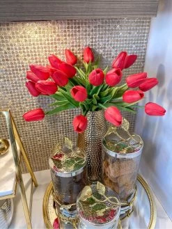 Red Tulip Bundle