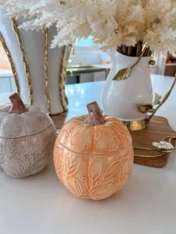 Sculpted Pumpkin Container (4 Colors) -Home Essentials Shop image b571d1da 2a6a 4163 8214 6ac5363b0289 new