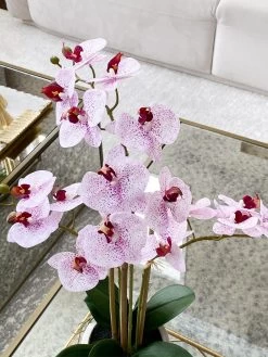 Pink Faux Orchid Potted Faux Plant -Home Essentials Shop image bcaa80d9 3027 464a bab1 cac9aaa8314b new