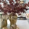 36" Burgundy Two-Tone Eucalyptus Stem -Home Essentials Shop image c72fdbdc 5769 4f55 8c1f 3b73f2c8cd7f