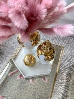 Pearlized Hexagon Trays With Gold Handles (2 Sizes)