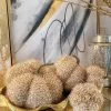Beige Fringe Pumpkin (3 Sizes) -Home Essentials Shop image eb639e18 9f1f 4b76 8692 8558744dfc9f new