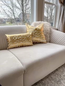 Becca Ivory And Gold Pillow - 20" X 20" -Home Essentials Shop image f6e19530 aee7 4097 a2be e74e43a7de9e new
